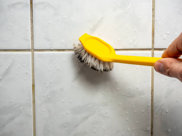 Best Mold Testing  in North Granby, CT