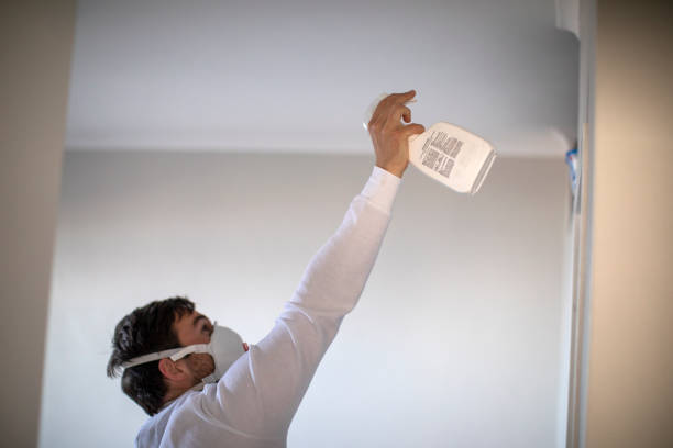Best Affordable Mold Removal  in North Granby, CT