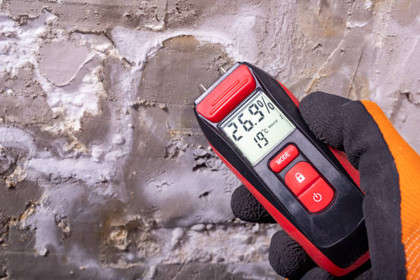 Best Professional Mold Removal  in North Granby, CT