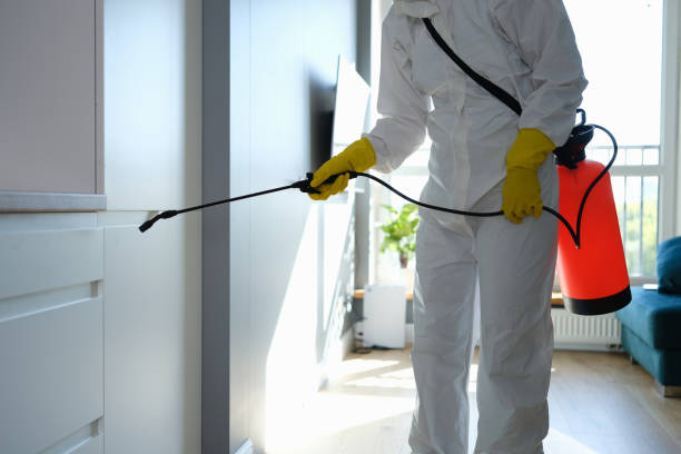 Best Mold Remediation Services  in North Granby, CT