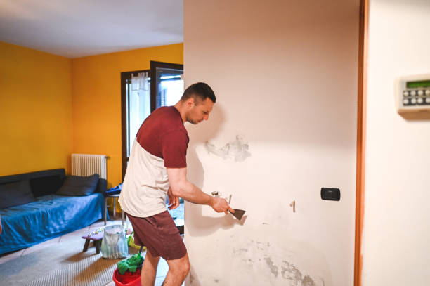 Best Water Damage Restoration  in North Granby, CT
